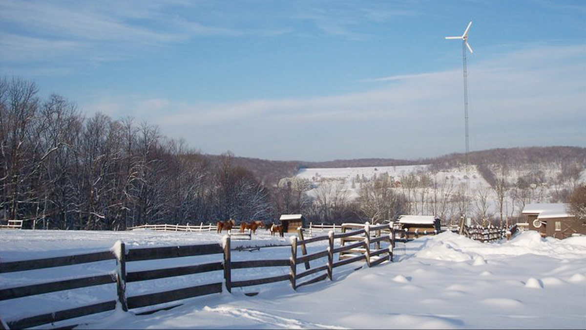 Apple Pond Farm