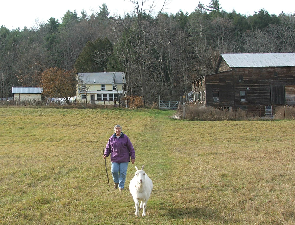 Barbara Yeaman's Property