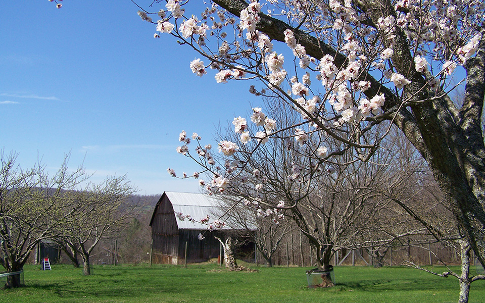 Bass Barn