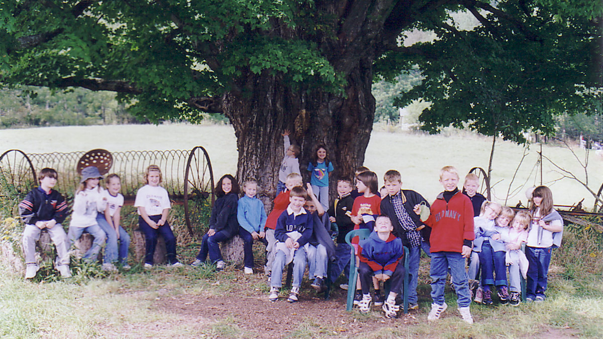 Butterfly Barn