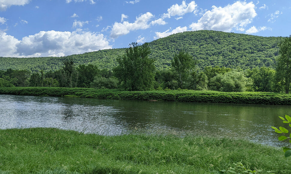 Confluence of East and West Branches of the Delaware River Permanently Protected