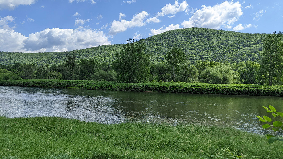 The Delaware River on a sunny day