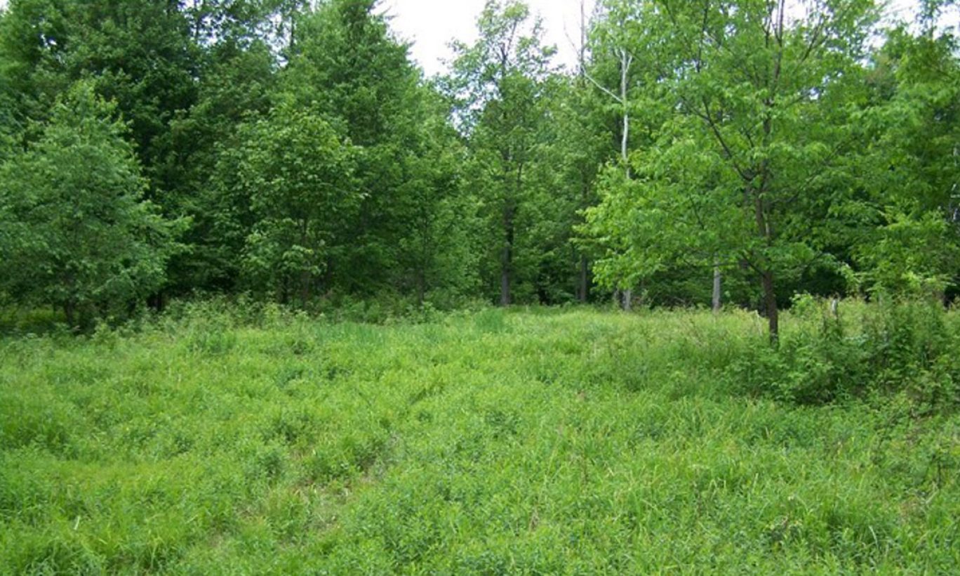 Coxton Lake Protected by Local Landowners