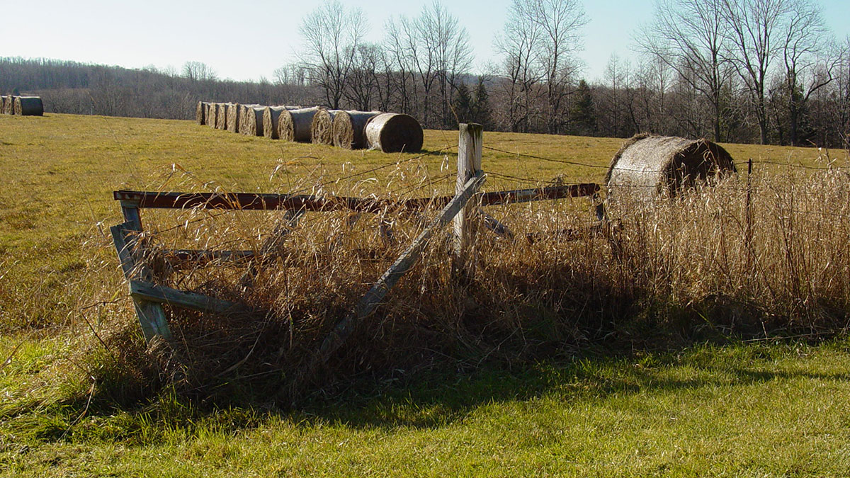 Crooked Creek Farm and Gardens Protected - Delaware Highlands Conservancy