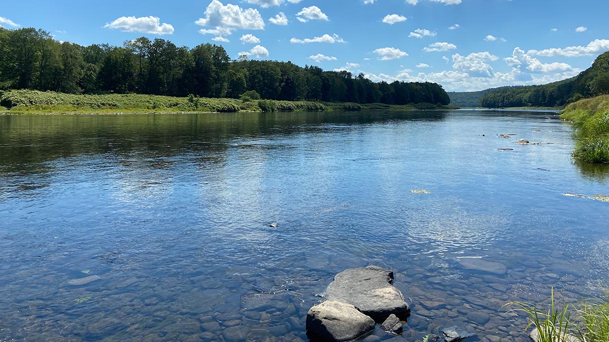 Clear water of the Delaware River on a sunny summer day