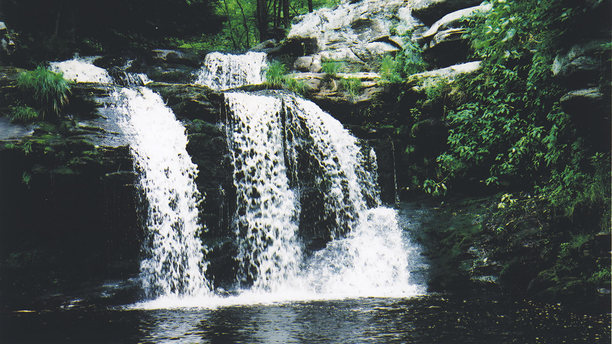 Dwarftskill Preserve