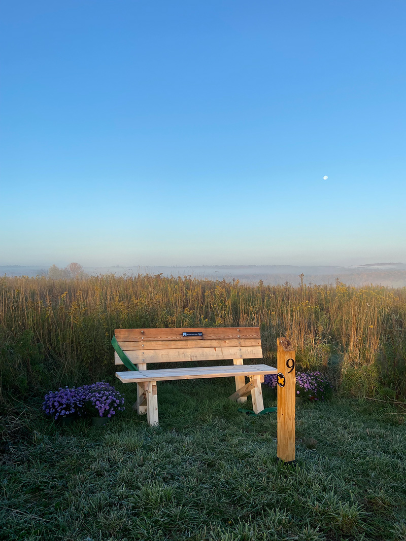 The bench at the Van Scott Nature Reserve in memory of Ed Wesely shown at sunrise.