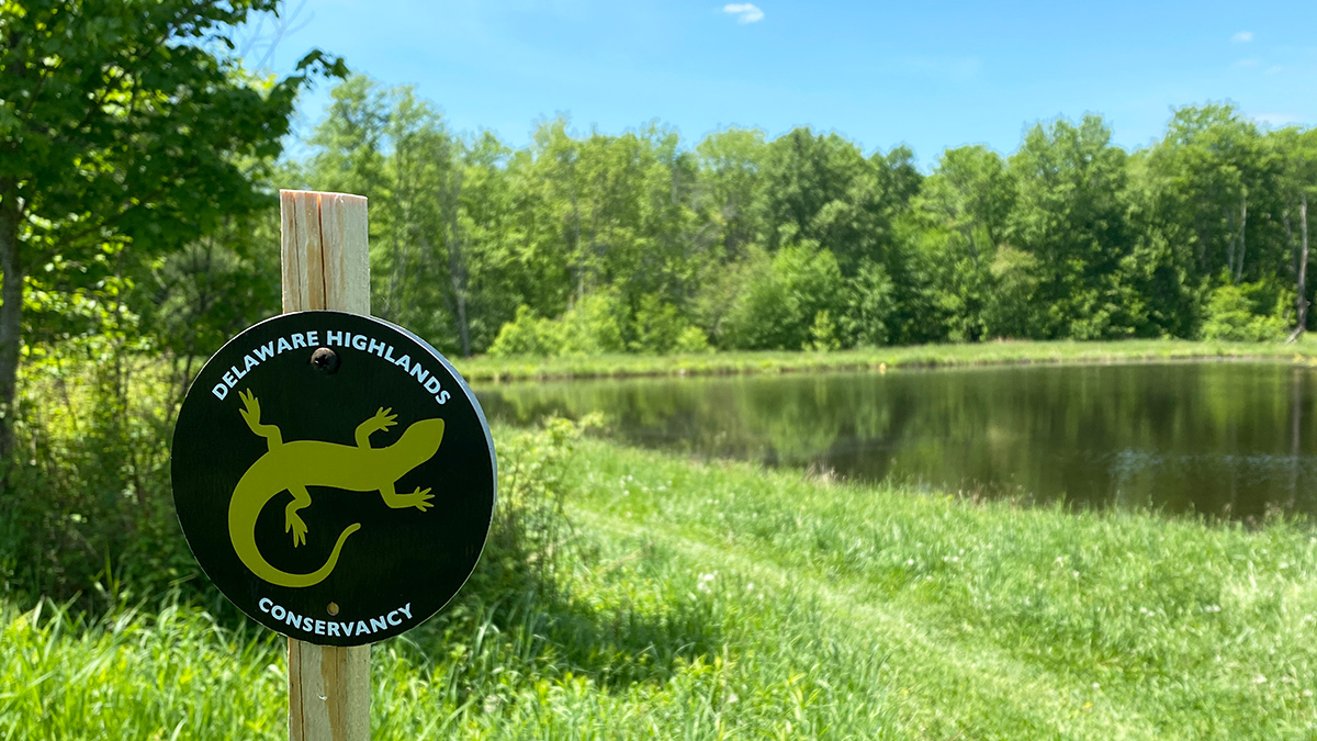 A Delaware Highlands Conservancy trail sign featuring a yellow salamander next to the pond.