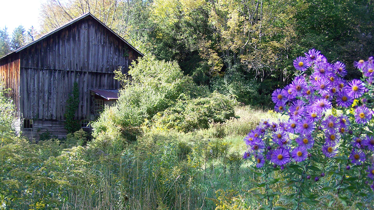 Holbert Creek