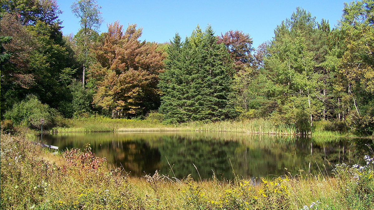 Holbert Creek