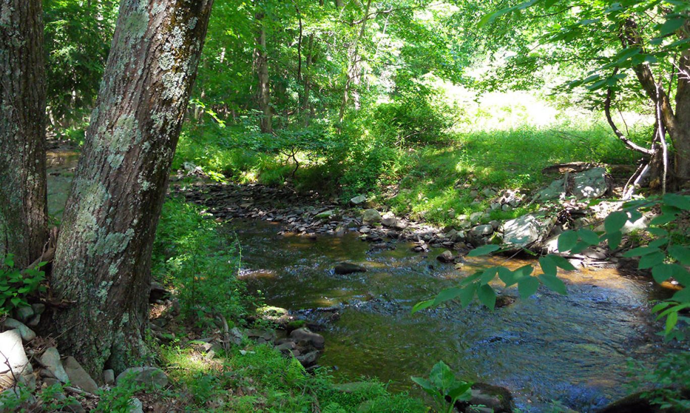 Lake Lattimore: A Community Effort