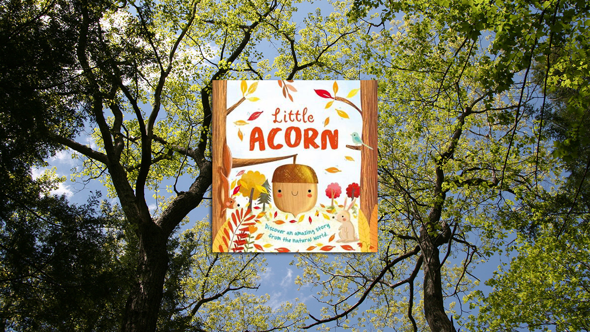 The cover of the book "Little Acorn" on top of an image of the forest canopy