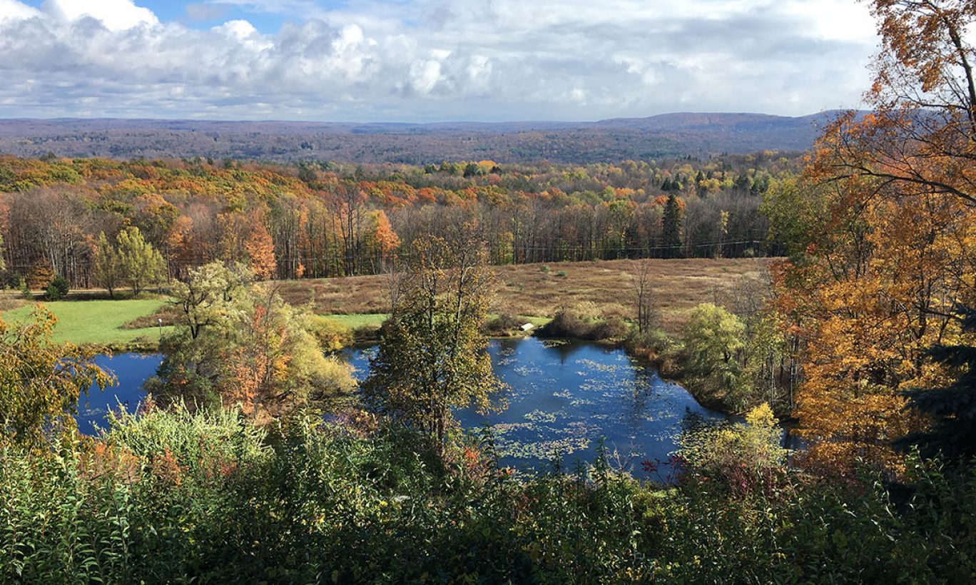 A Land Protection Milestone