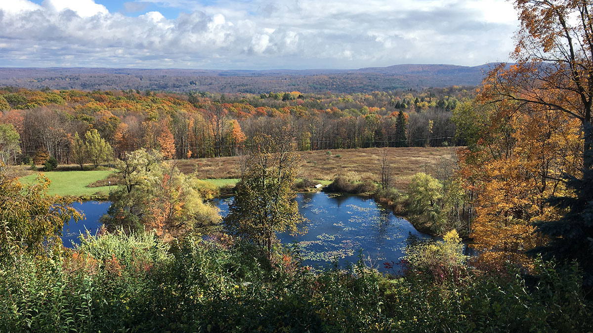 Milford Experimental Forest