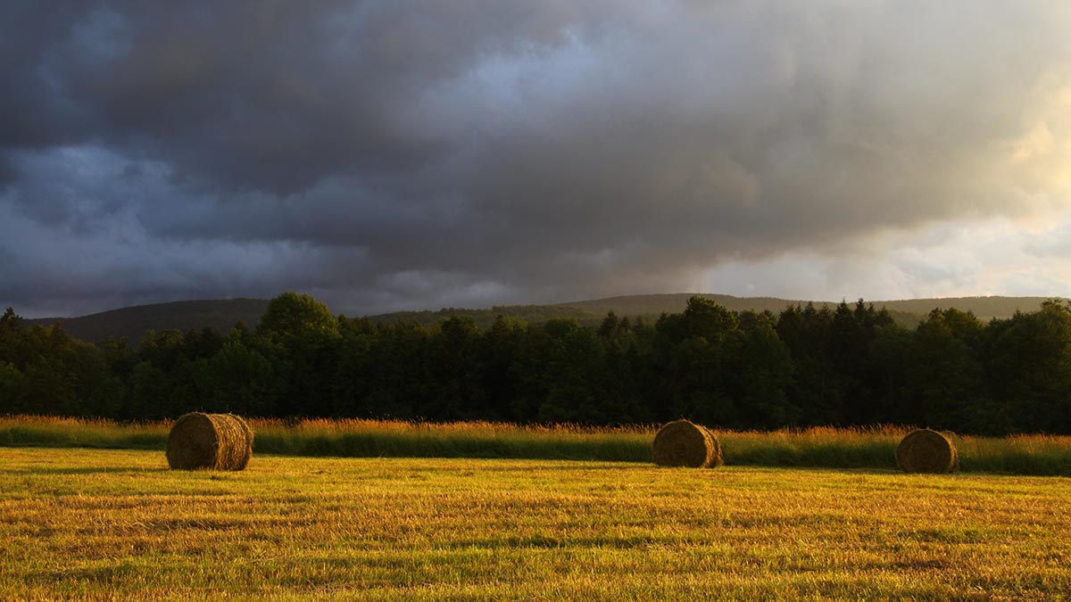 Hay bales in a field at sunset with thunderclouds above.