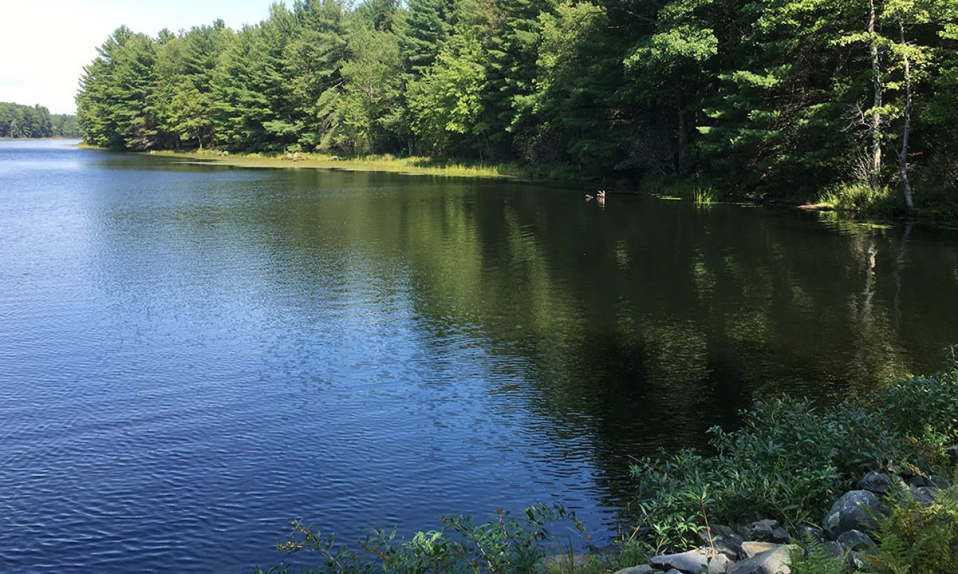 Forestland Protected from Subdivision