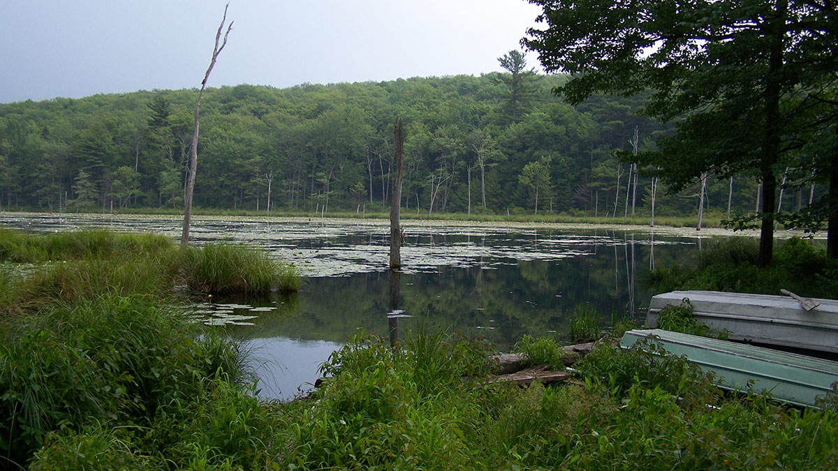 Mink Pond Club