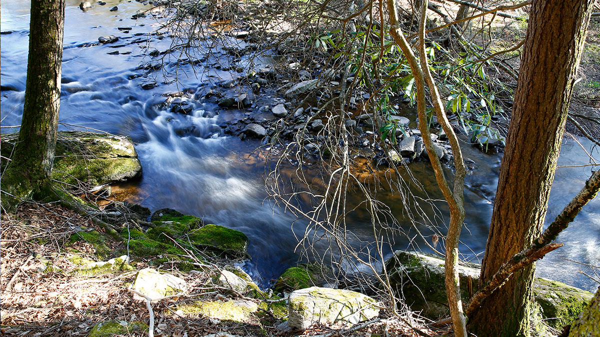 Mitchell Pond Brook