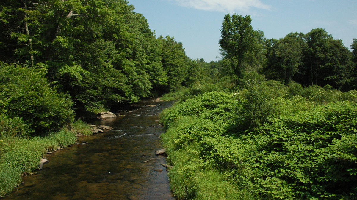 Conservation Buyer Program - Delaware Highlands Conservancy