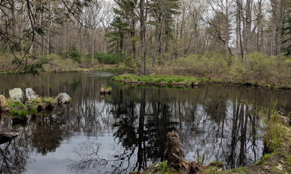 3,683 Acres Permanently Protected in Pike County, PA