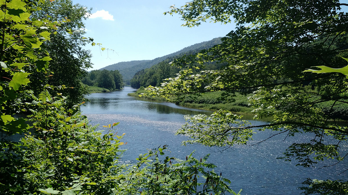 The Delaware River on a sunny summer day.