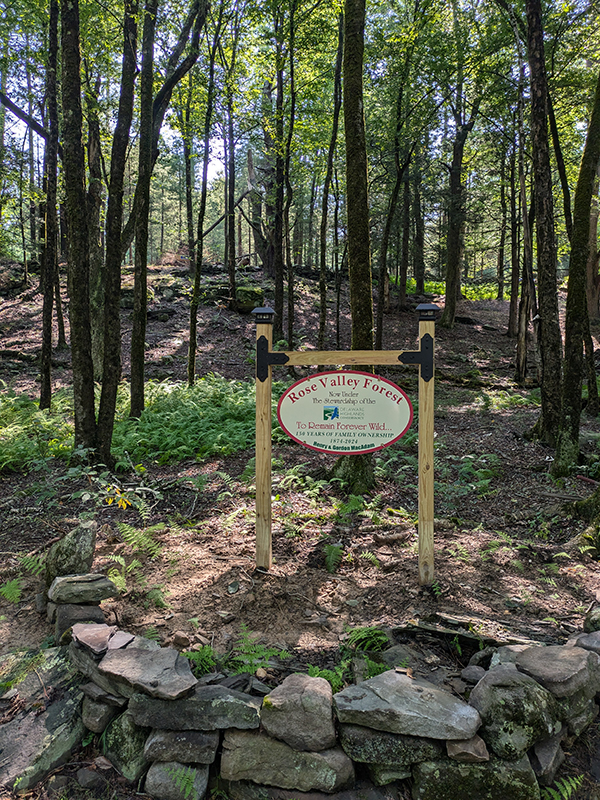 A sign reading "Rose Valley Forest" in front of a stand of trees on a sunny summer day.