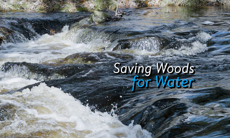 Saving Woods for Water: A Short Film
