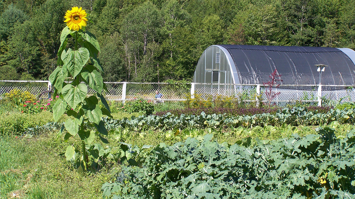 Skoloff Farm