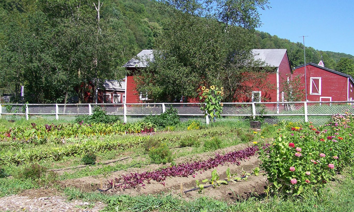 From Camping to Organic Farming