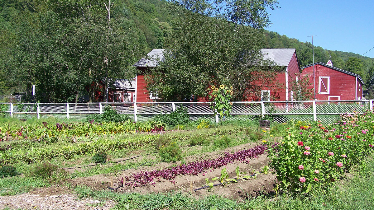 Skoloff Farm