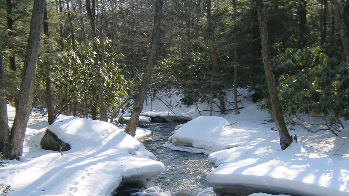 South Canaan Meadow