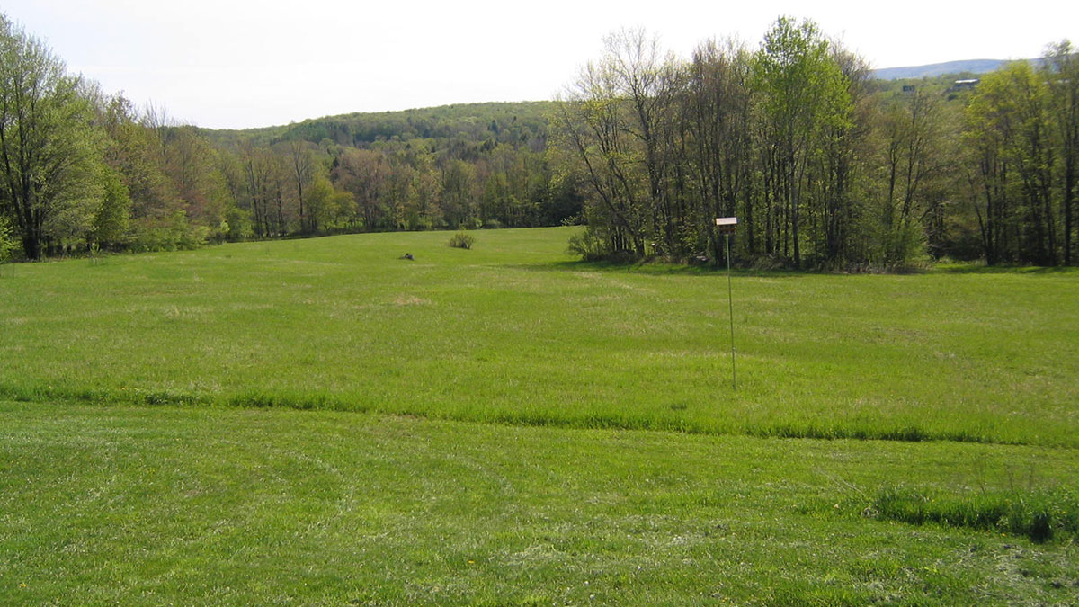 South Canaan Meadow