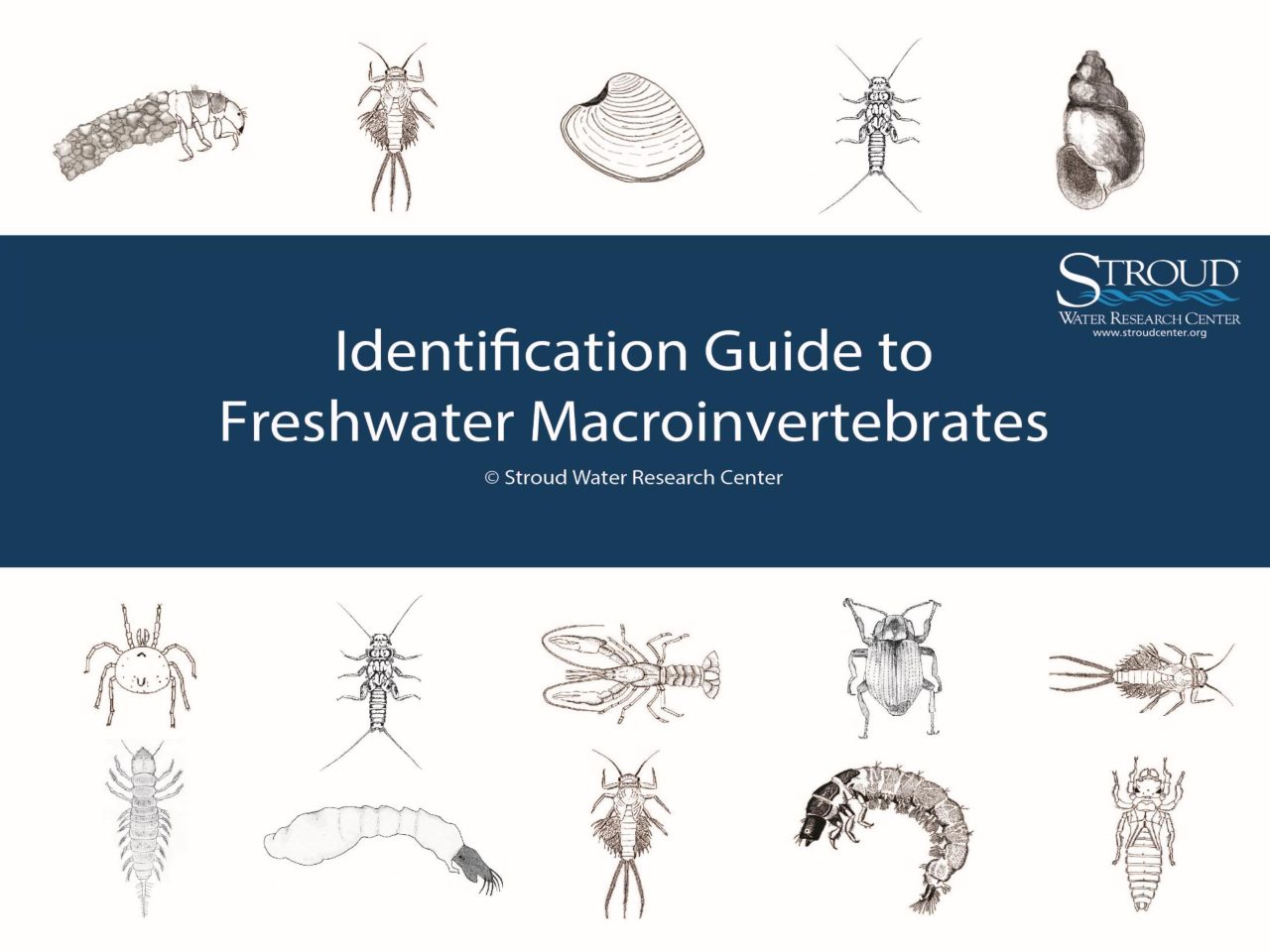 Stream Study - Guide To Macroinvertebrates - Delaware Highlands Conservancy