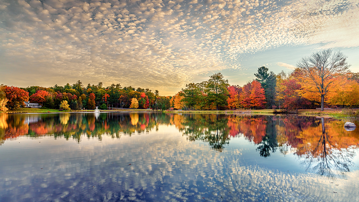 A fall foliage landscape reflected in a lake.