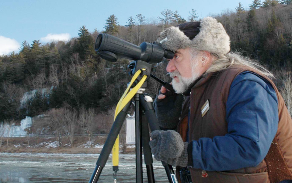 Person viewing eagles through a telescope