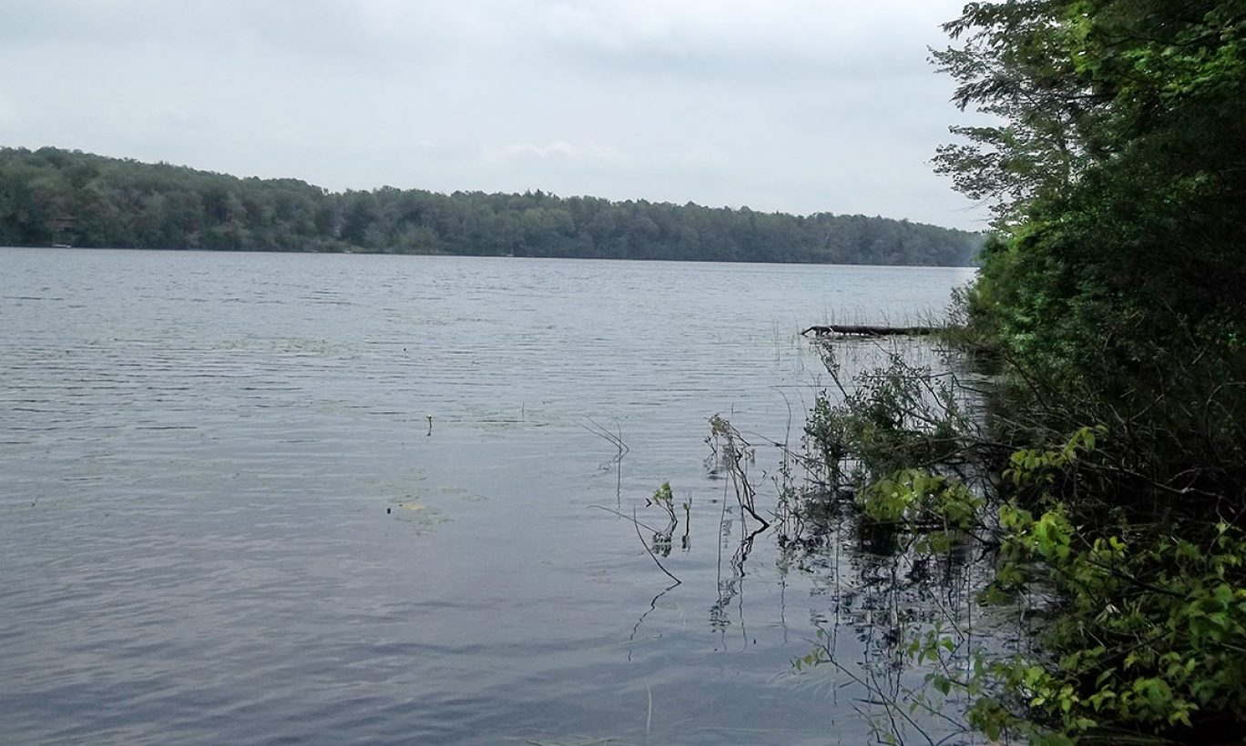 Protecting Bone Pond from Subdivision