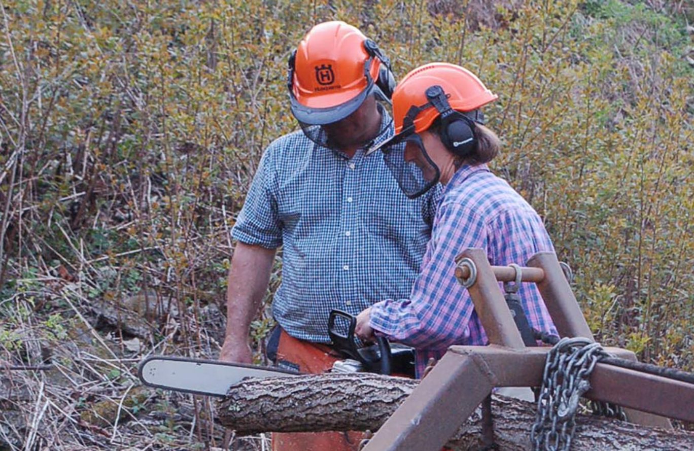 A woman receives instruction in using a chainsaw