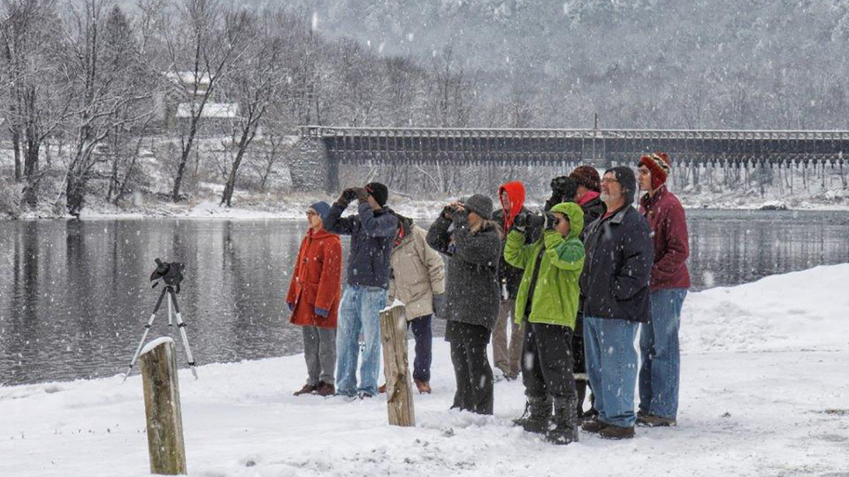 Eagle Watchers stand next to the Lackawaxen River in the snow