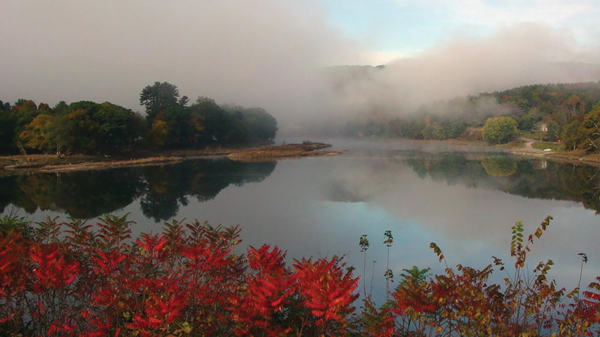 Fog on a fall river