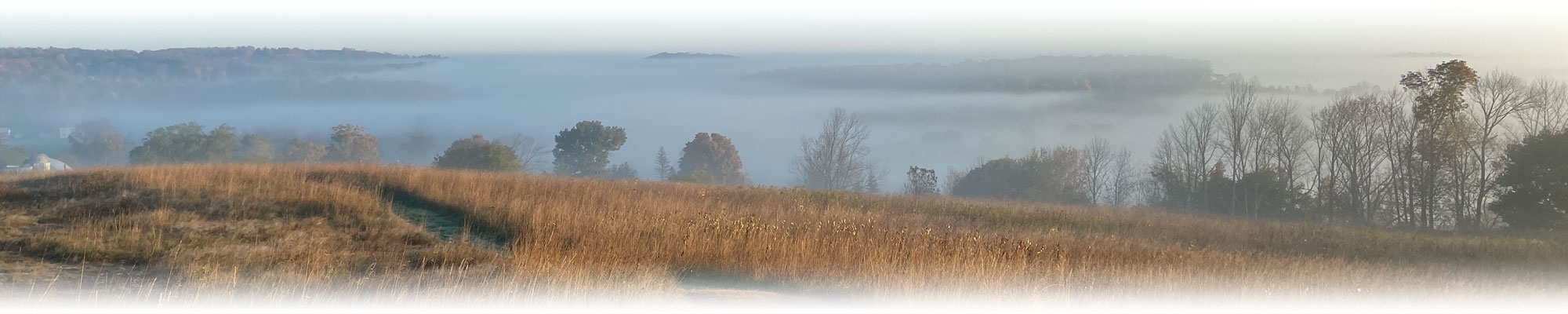 misty morning overlook