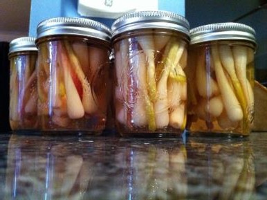 Pickled ramps in jars.