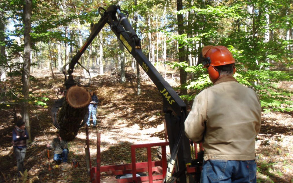 pulling logs from the forest