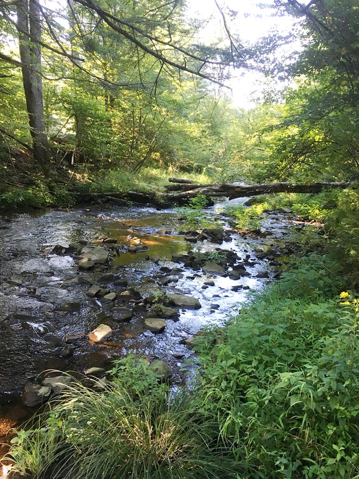 spring flowing water